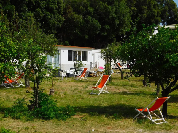 Sedie a sdraio arancioni su prato con alberi e una casetta bianca sullo sfondo.