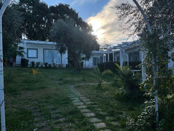 Villette tra alberi e sole al tramonto.