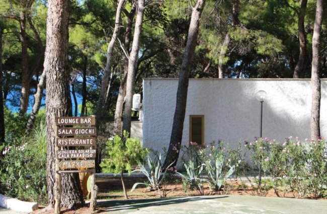 Edificio bianco tra alberi con un cartello di servizi.