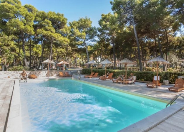 Piscina all'aperto tra pini e sdraio.