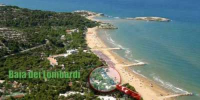 Vista aerea di una spiaggia con vegetazione e mare. Testo 