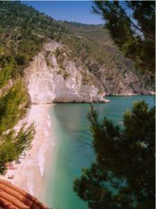 Spiaggia con scogliere bianche e mare verde smeraldo, circondata da pini.