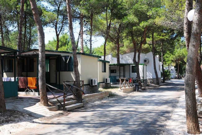 Stradina tra case immerse nel verde.