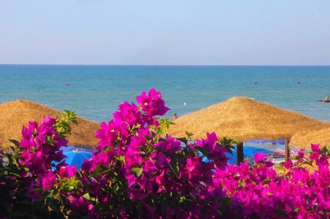 Fiori rosa su uno sfondo di ombrelloni e mare.