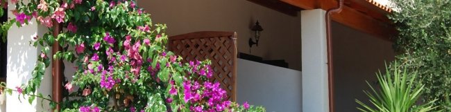Fiori di bouganville su un portico soleggiato.