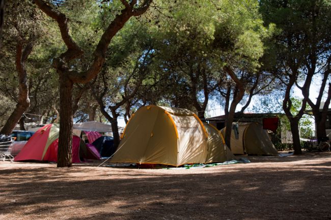 Campeggio immerso tra grandi alberi ombrosi con tende colorate.