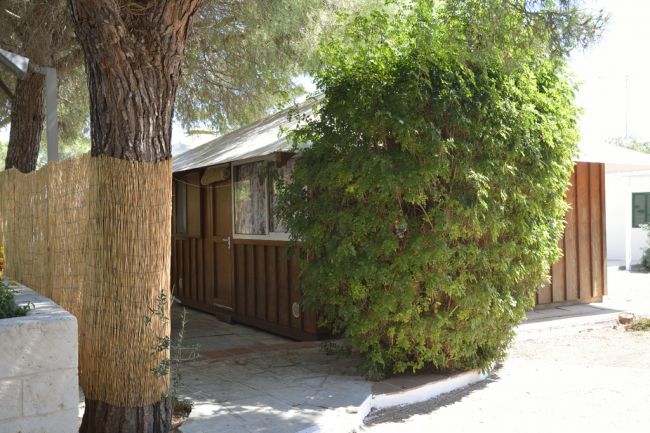 Un bungalow di legno nascosto tra alberi e cespugli.