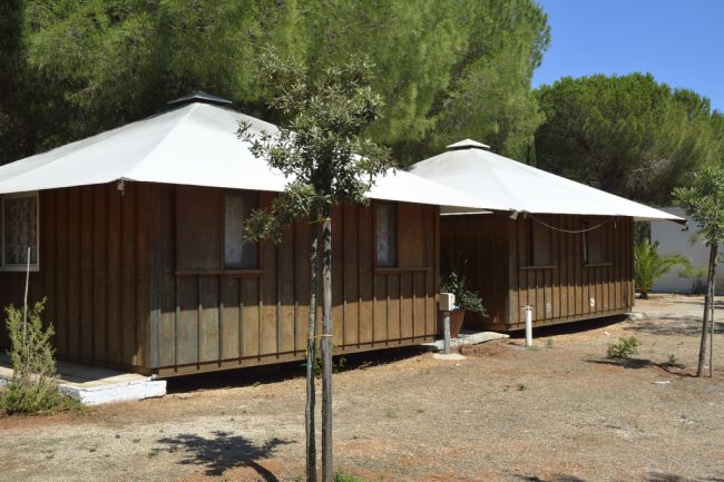 Due bungalow di legno con tetti bianchi, circondati da alberi.