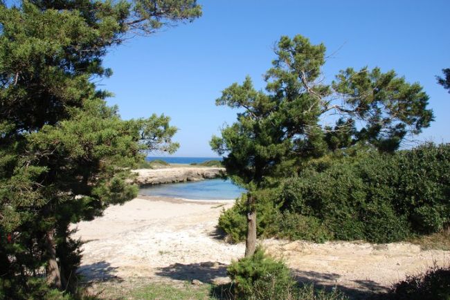 Spiaggia nascosta tra alberi e cespugli.