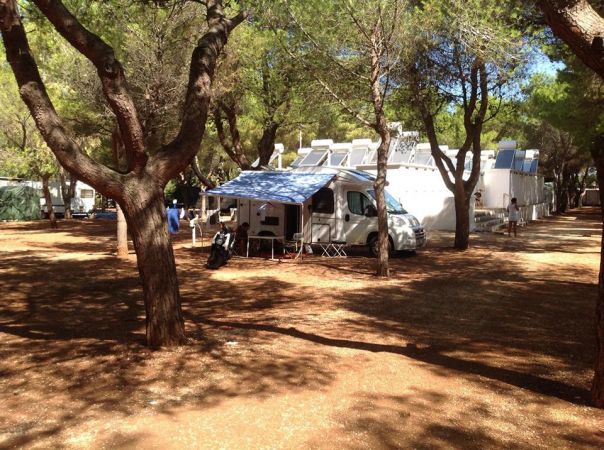 Camper sotto alberi in un'area di campeggio ombreggiata.