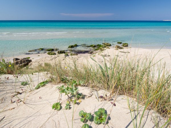 Spiaggia con mare turchese e sabbia bianca.