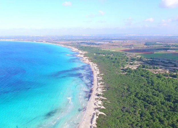 Vista aerea di una spiaggia con mare azzurro e vegetazione costiera.
