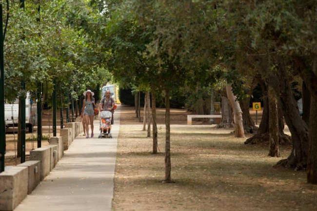 Sentiero alberato con persone che camminano.
