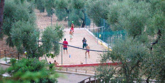 Persone giocano a beach volley in un campo circondato da alberi.