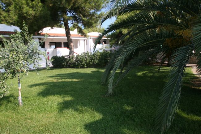 Giardino con prato verde e palme, edificio sullo sfondo.