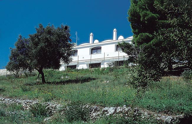 Edificio bianco immerso nel verde con alberi sul davanti.
