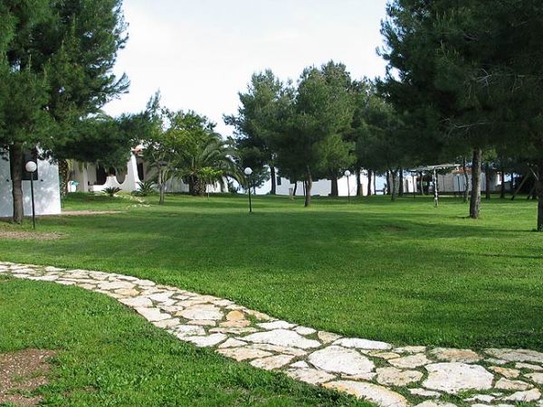Sentiero di pietra attraverso un prato verde con alberi.