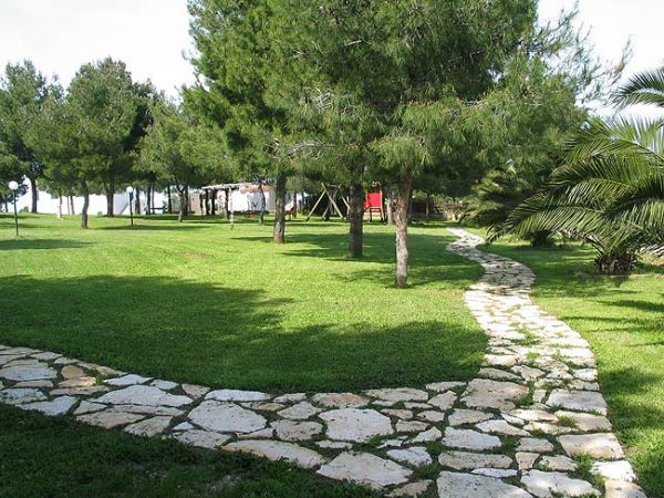 Sentiero di pietra tra alberi e verde.
