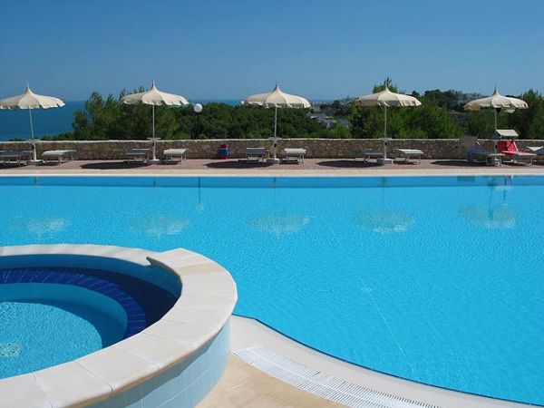 Ampia piscina blu con vista su un paesaggio verde.