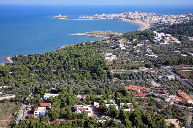 Vista aerea di una costa con foresta e città sullo sfondo.