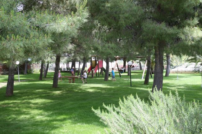 Parco giochi tra alberi verdi.