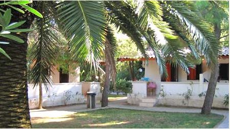 Bungalows bianchi tra palme e vegetazione verdeggiante.