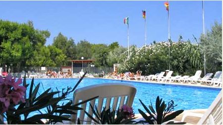 Piscina con sedie a sdraio, fiori e bandiere italiane e straniere al confine.