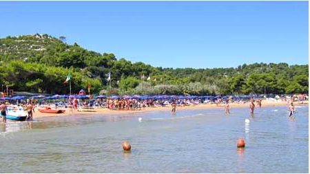 Spiaggia affollata con ombrelloni blu e vegetazione collinare.