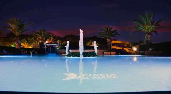 Piscina illuminata di notte con statue e palme.