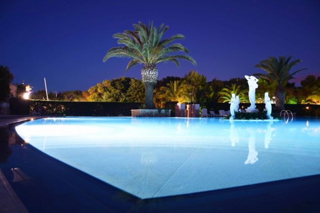 Una piscina illuminata di notte con palme sullo sfondo.