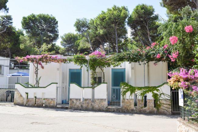Una casa bianca con piante e fiori fucsia fuori.