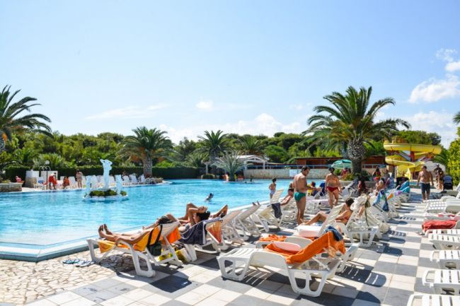 Piscina con lettini e palme al sole.