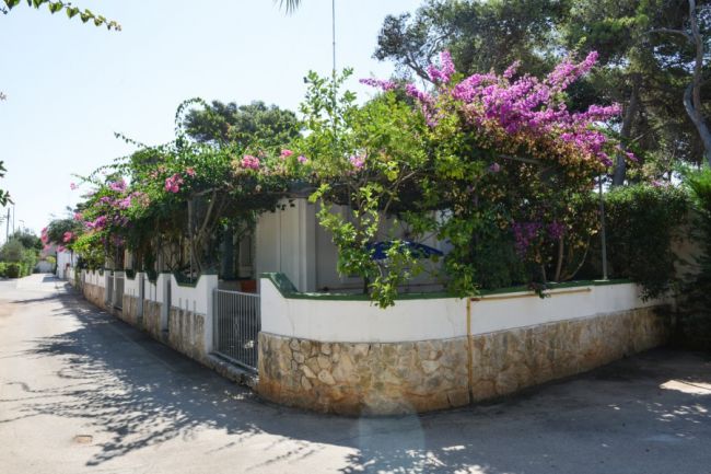 Una casa con bouganville fiorite, circondata da un muretto.