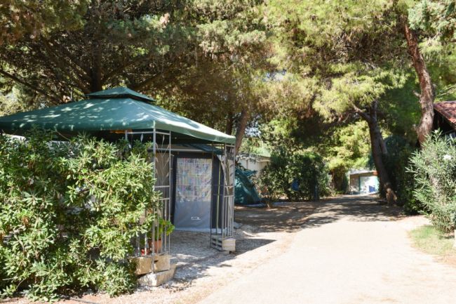 Area di campeggio con tettoia verde e alberi ombrosi.