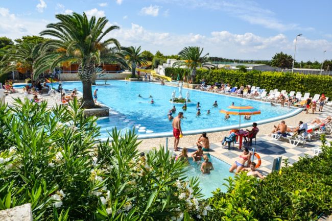 Piscina con palme e bagnanti su sdraio.