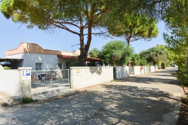 Strada alberata con cancello e muro bianco.