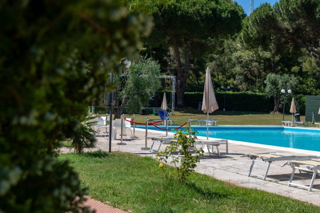 Piscina con lettini e ombrelloni, circondata da alberi.