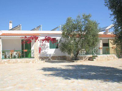 Casa bianca con terrazzo e fiori rossi arrampicanti, ulivo nel cortile.