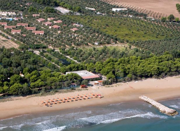 Veduta aerea di spiaggia, ombrelloni, villette tra alberi e campi.