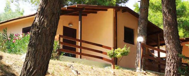 Bungalow con tettoia in legno, circondato da alberi e vegetazione.