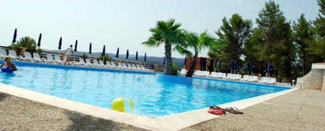 Piscina all'aperto con lettini e palme sul bordo.