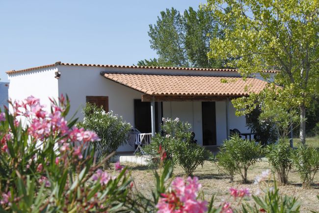 Una casa con tetto rosso circondata da cespugli fioriti.