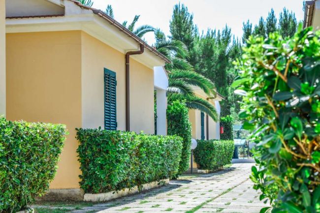 Case gialle con persiane verdi e siepi curate.