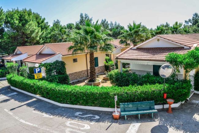 Bungalow circondati da palme e siepi.