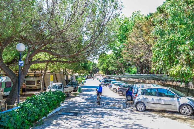 Strada alberata con auto parcheggiate e ciclista.