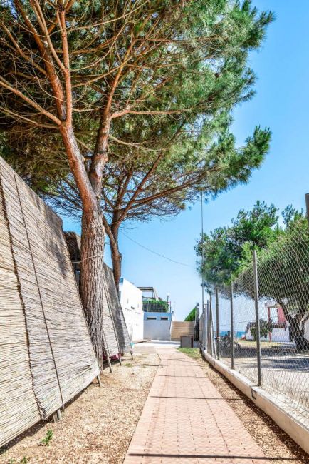 Viale con alberi e recinzione metallica.